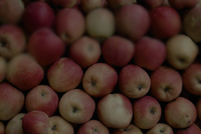 slider-image